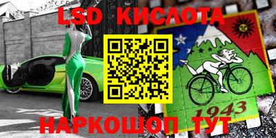 шишки Донской