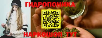 шишки Донской