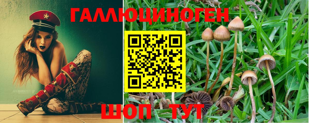 Псилоцибиновые грибы Magic Shrooms Благовещенск